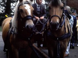 Schützenfest 1986